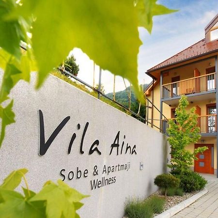 Villa Aina Boutique Hotel Laško Exteriér fotografie