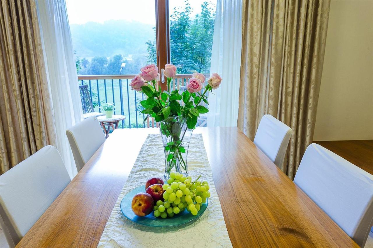 Villa Aina Boutique Hotel Laško Exteriér fotografie