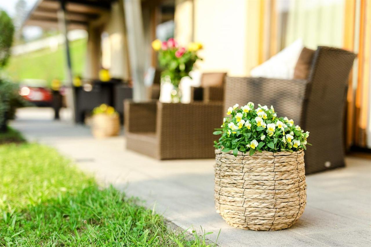 Villa Aina Boutique Hotel Laško Exteriér fotografie